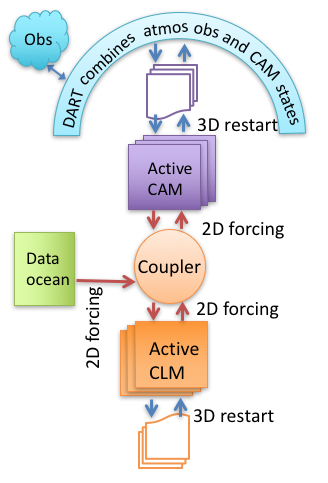 CAM+DART flowchart